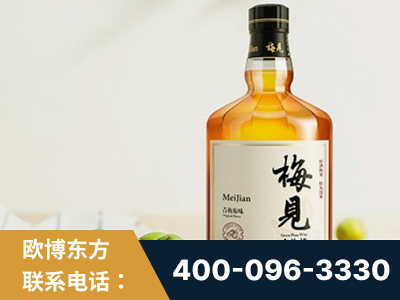 邢台-梅见青梅酒